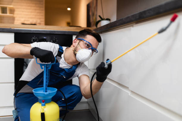 Best Affordable Pest Control Services  in Beachwood, OH