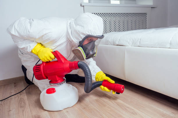 Wasp Removal Services in Beachwood, OH