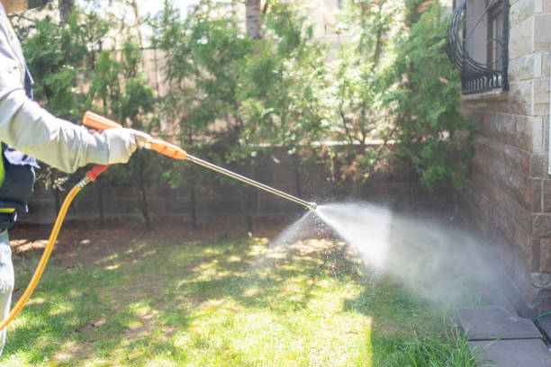 Best Pest Prevention Services  in Beachwood, OH