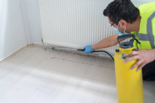 Best Commercial Pest Control Services  in Beachwood, OH